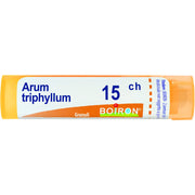Arum triphyl boi 15ch 80gr 4g