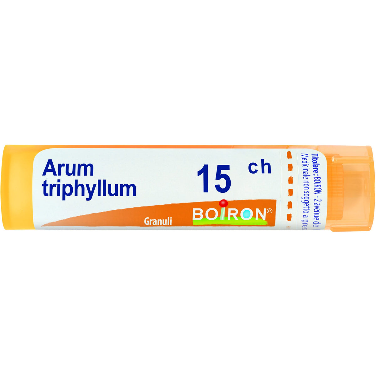 Arum triphyl boi 15ch 80gr 4g