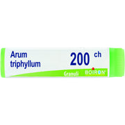 Arum triphyl boi 200ch gl 1g