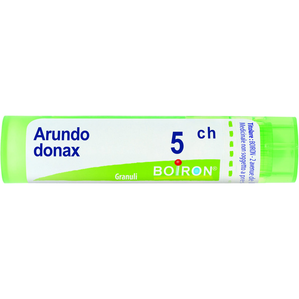 Arundo donax 5ch gr
