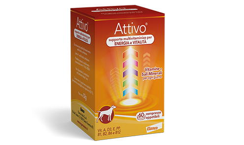 Attivo tabs 60 compresse