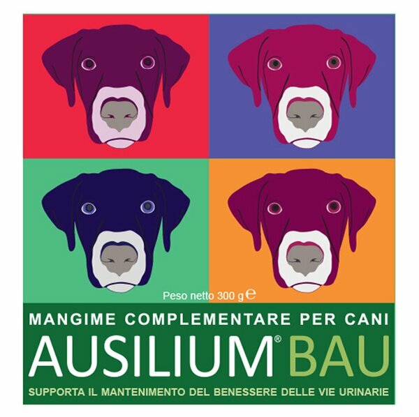 Ausilium bau 300g c/misurino