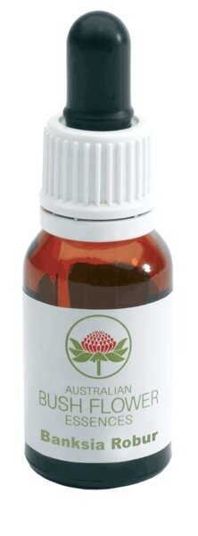 Banksia robur gocce 15 ml