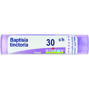 Baptisia tinc boi 30ch 80gr4g