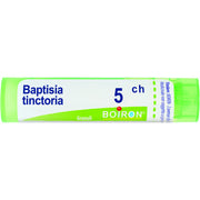Baptisia tinc boi 5ch 80gr 4g
