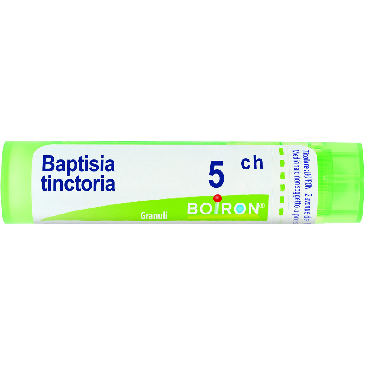 Baptisia tinc boi 5ch 80gr 4g