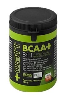 Bcaa+ 811 polvere arancia 100 g