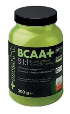 Bcaa+ 811 polvere arancia 300 g