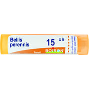 Bellis peren boi 15ch 80gr 4g