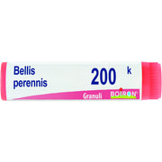 Bellis peren boi 200k gl 1g