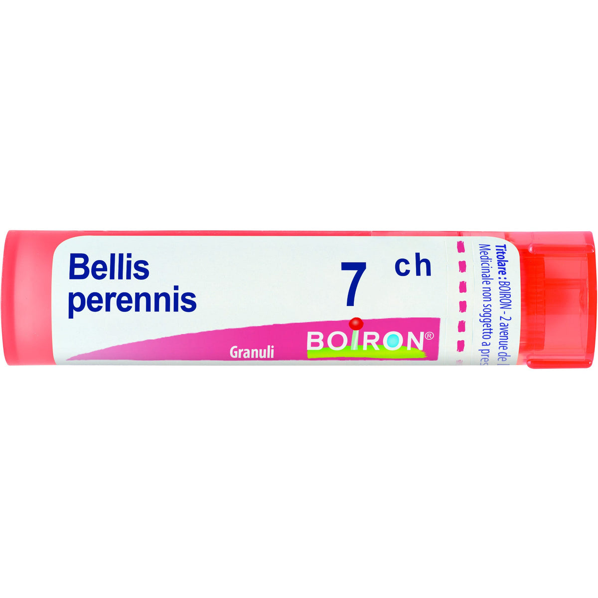 Bellis peren boi 7ch 80gr 4g