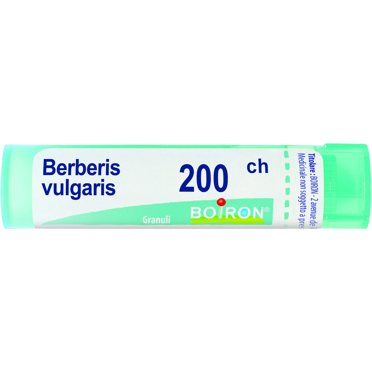 Berberis vulg boi 200ch 80gr4g