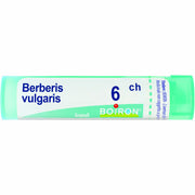 Berberis vulgaris 6ch 80gr 4g