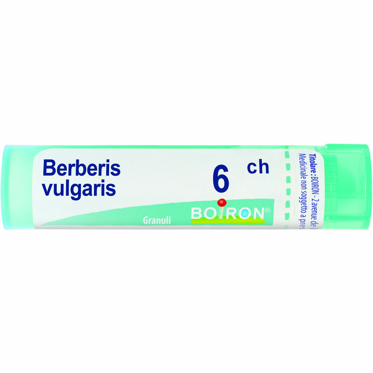 Berberis vulgaris 6ch 80gr 4g