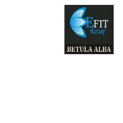 Betula alba estratto fluido 30 ml