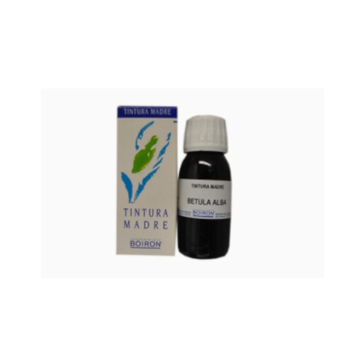 Betula alba tintura madre 60 ml