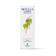 Betulla linfa gd 100ml