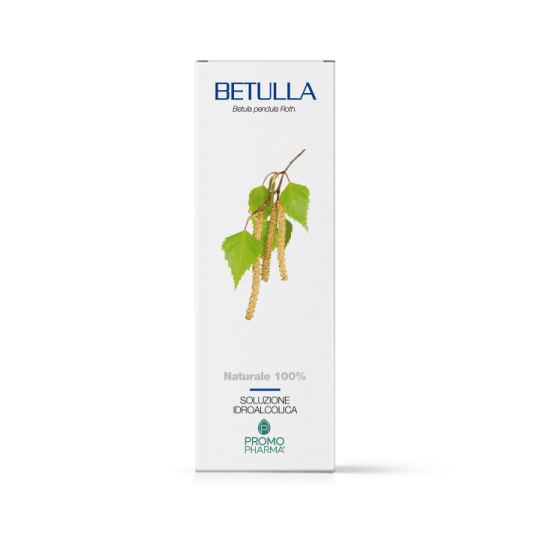 Betulla soluzione ial 50ml