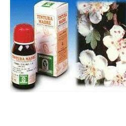 Biancospino 10 specchiasol tintura madre 50ml