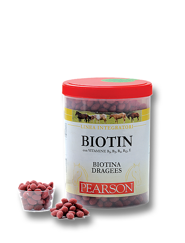 Biotin per zoccolo 750g