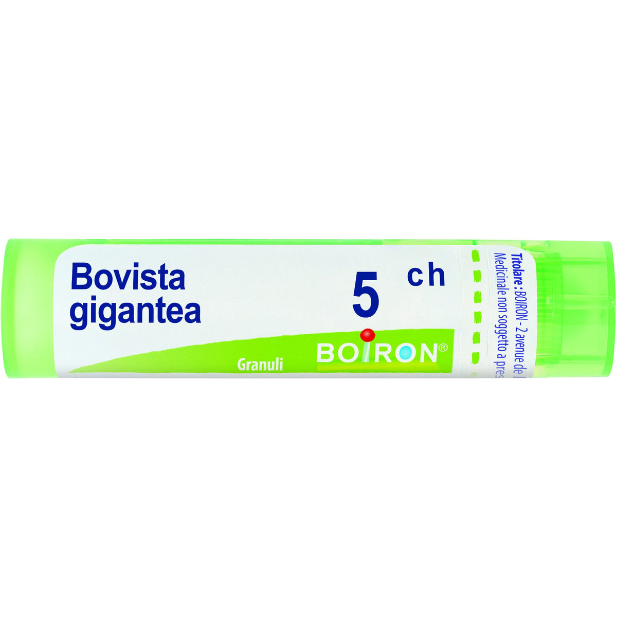 Bovista gigan boi 5ch 80gr 4g
