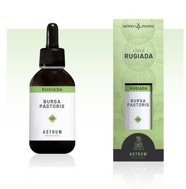 Bursa pastoris astrum rugiada
