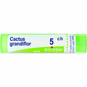 CACTUS GRANDIFLORUS*5CH 80GR4G