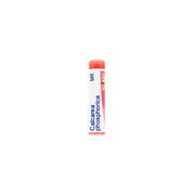 Calcarea phosphorica 1mk gl 1g
