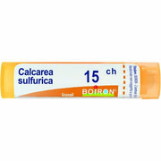 Calcarea sulfurica 15ch 80gr4g