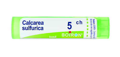 Calcarea sulfurica 5ch 80gr 4g