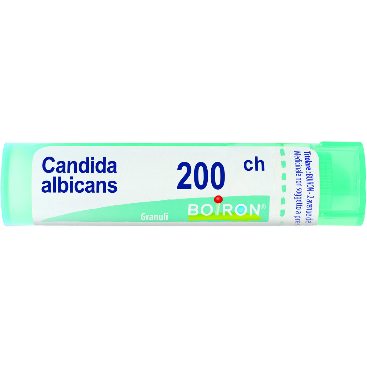 Candida albicans 200ch gr
