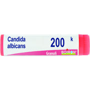 Candida albicans 200k gl