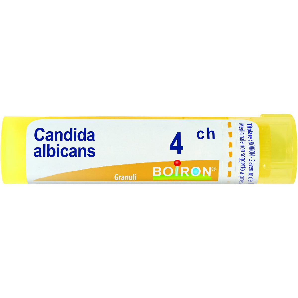 Candida albicans 4ch gr