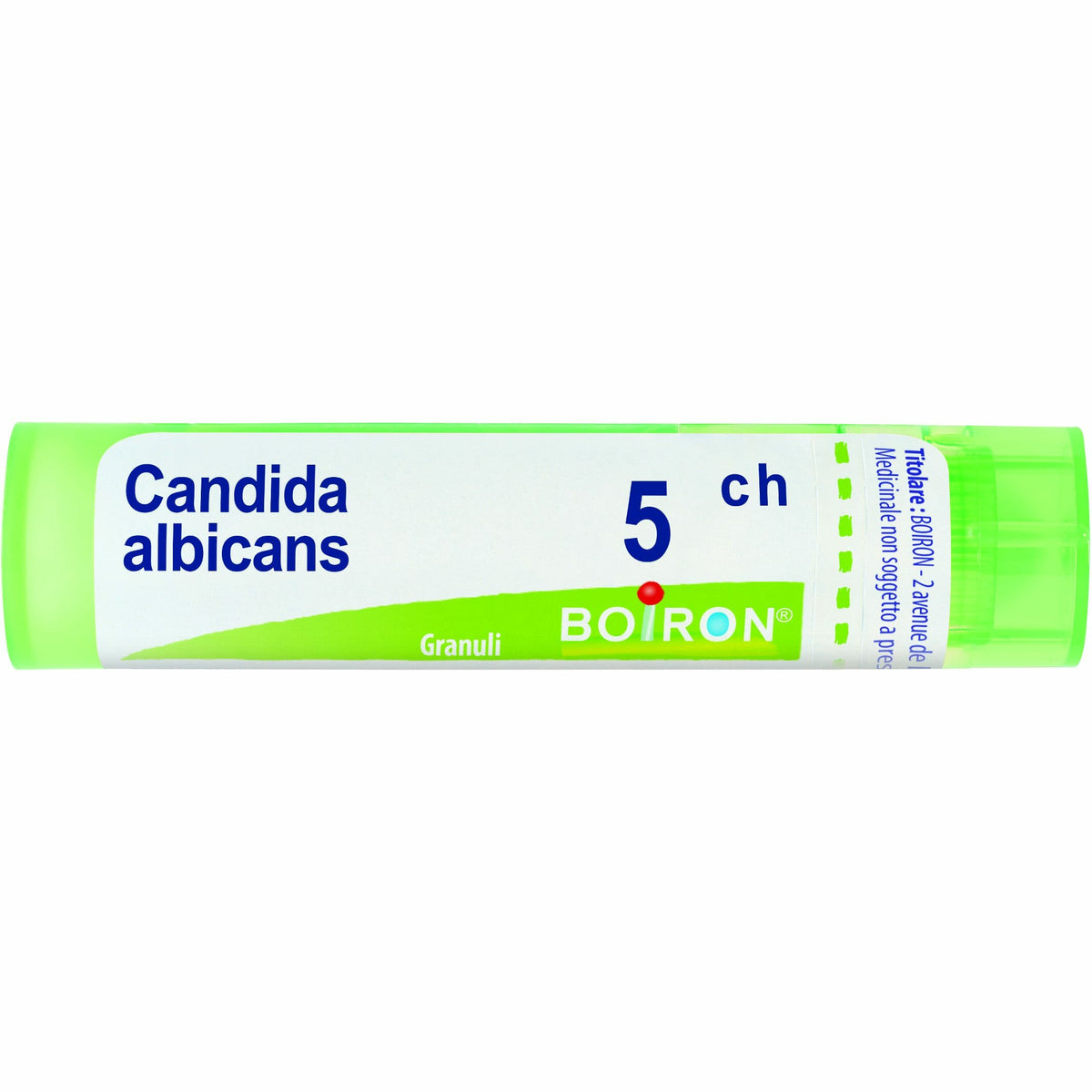 Candida albicans 5ch gr