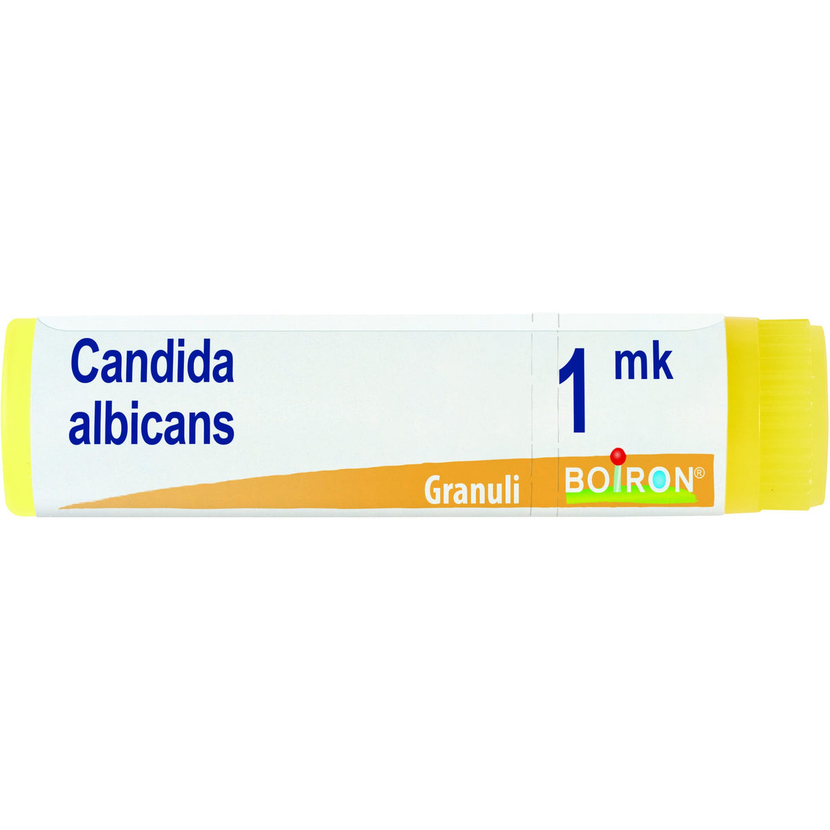 Candida albicans mk gl
