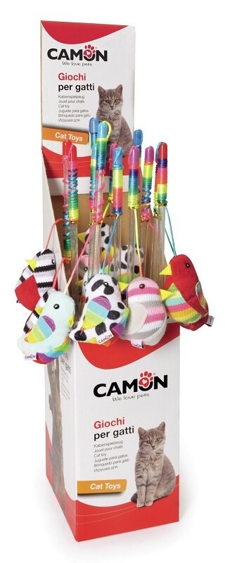 Cannetta gatto little bird box 12 pezzi