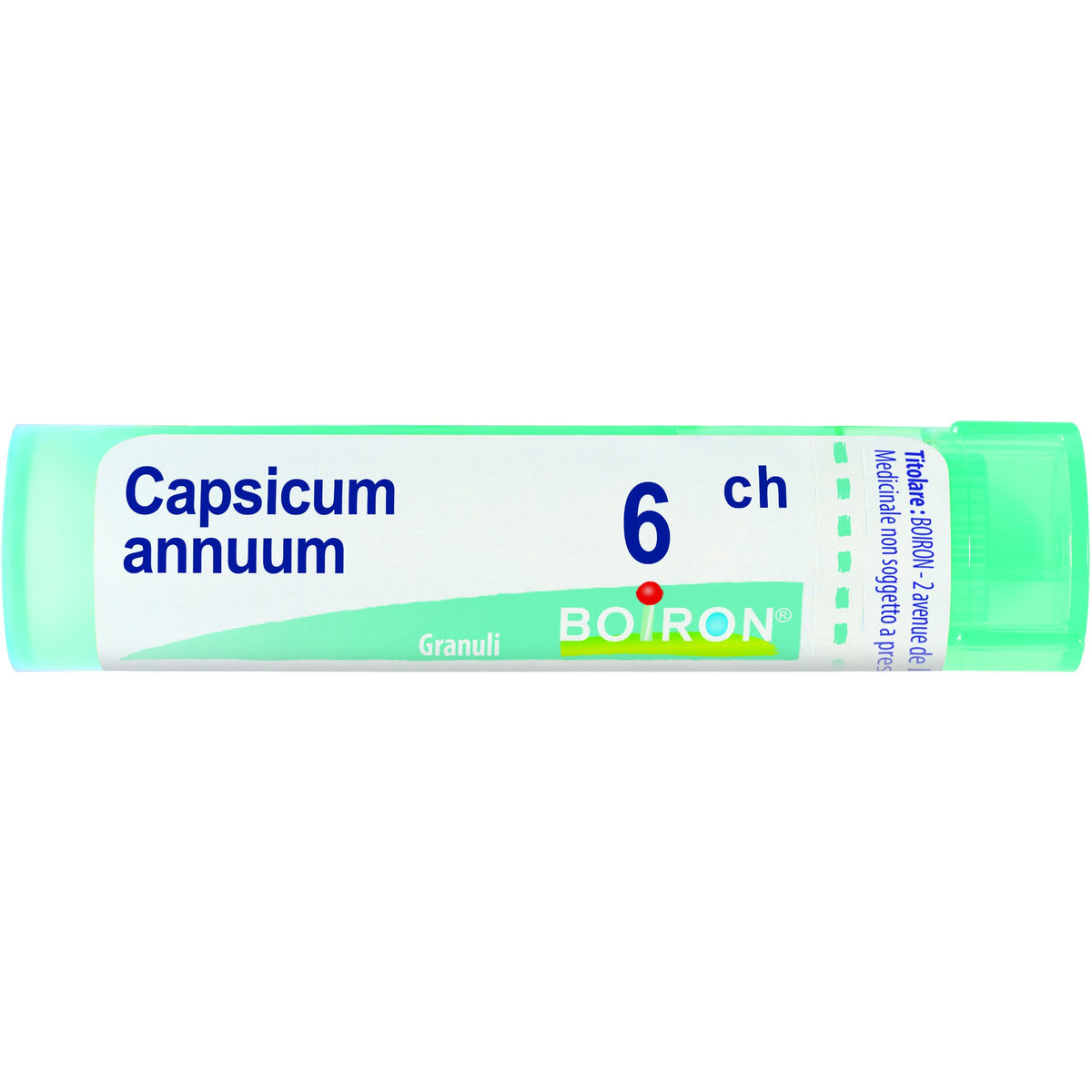 Capsicum ann boi 6ch 80gr 4g