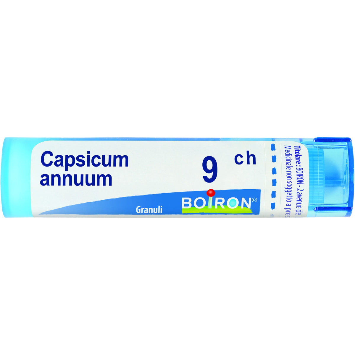 Capsicum ann boi 9ch 80gr 4g