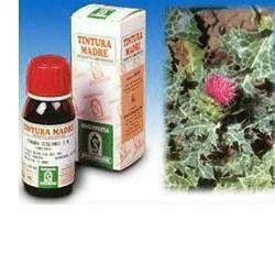 Cardo mariano 6 50ml tintura madre