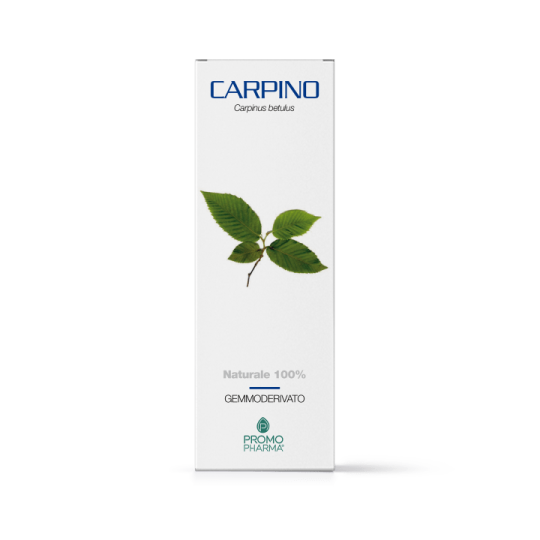 Carpino gemmoderivato 50ml