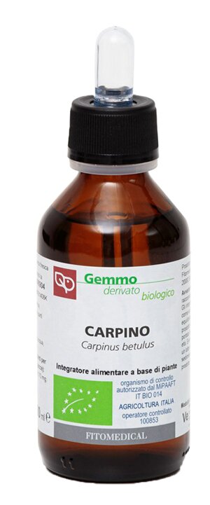 Carpino macerato glicerinato bio 100 ml