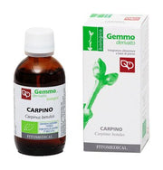 Carpino macerato glicerinato bio 50 ml