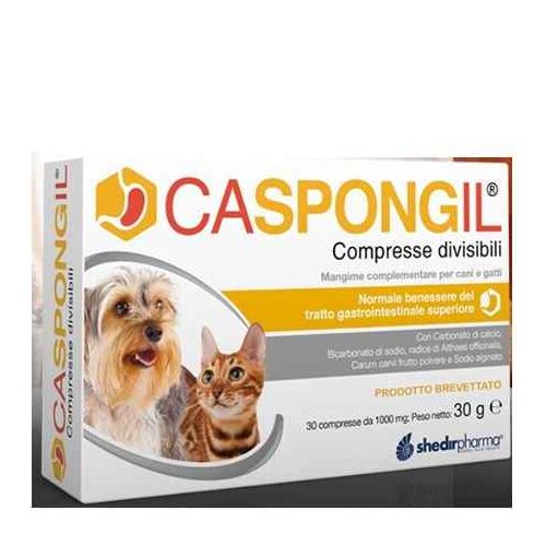 Caspongil 30 compresse divisibili