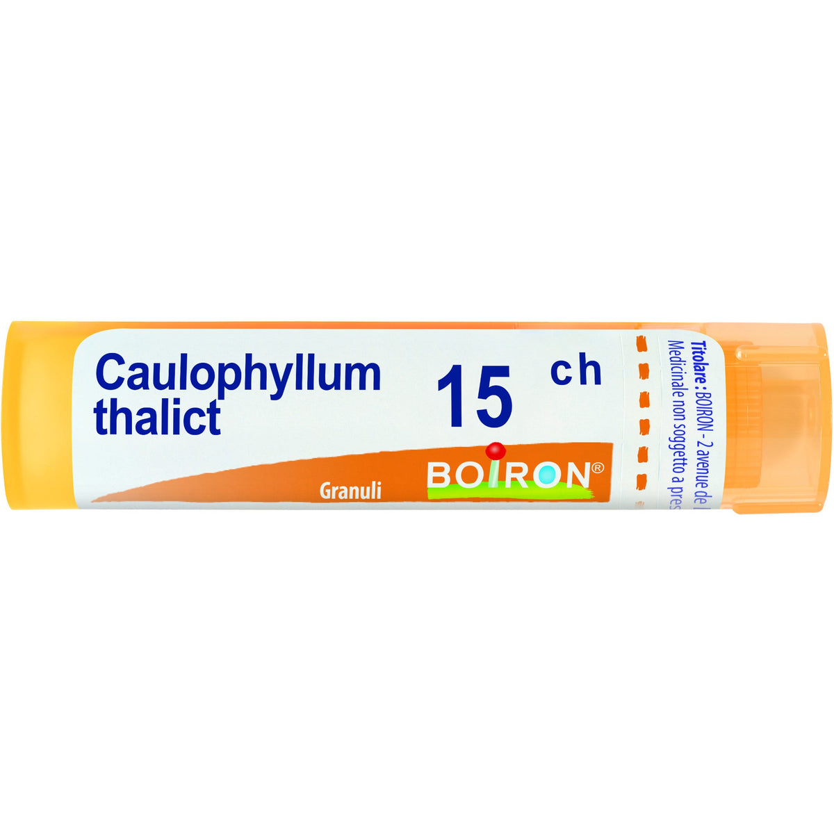 Caulophyllum boi 15ch 80gr 4g