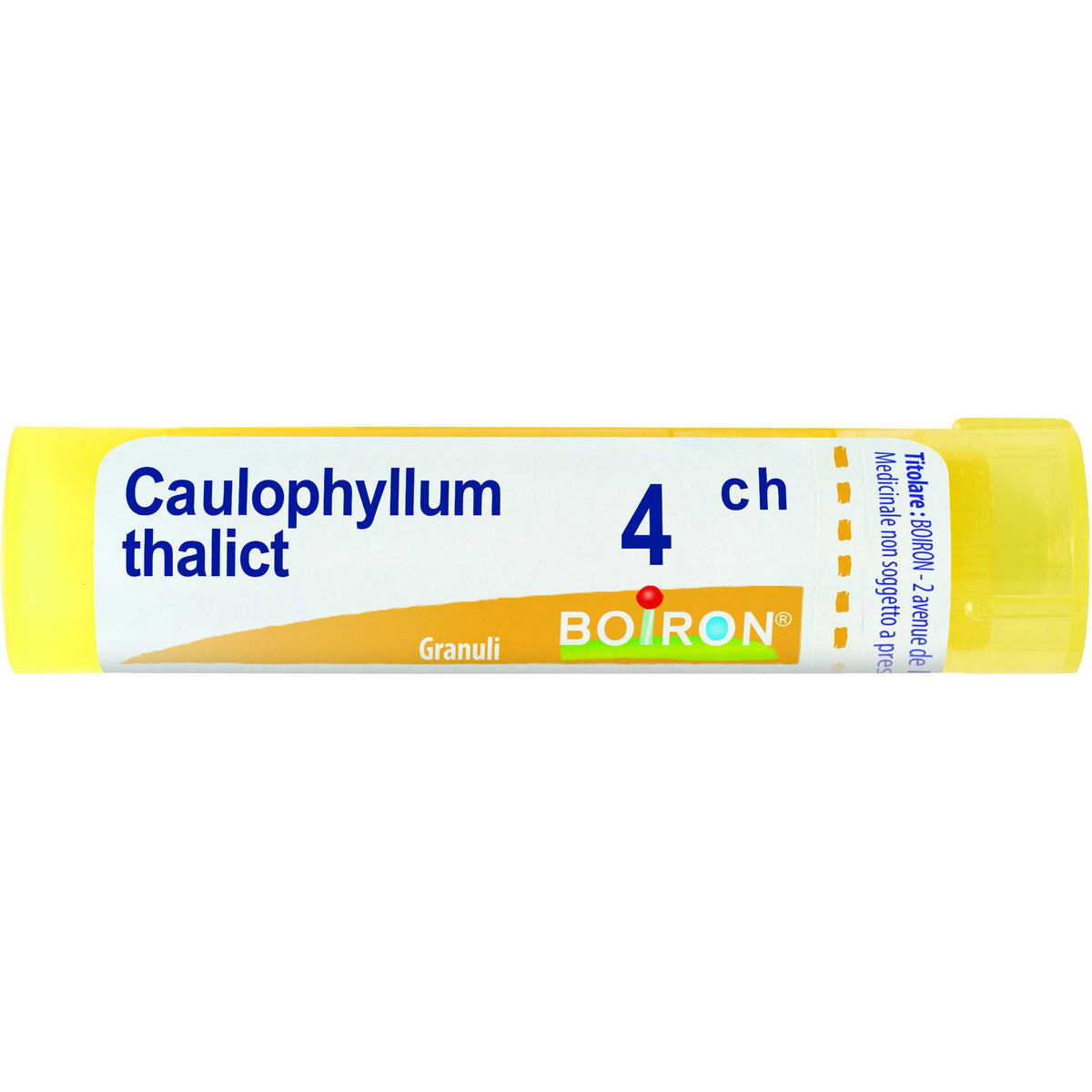 Caulophyllum boi 4ch 80gr 4g