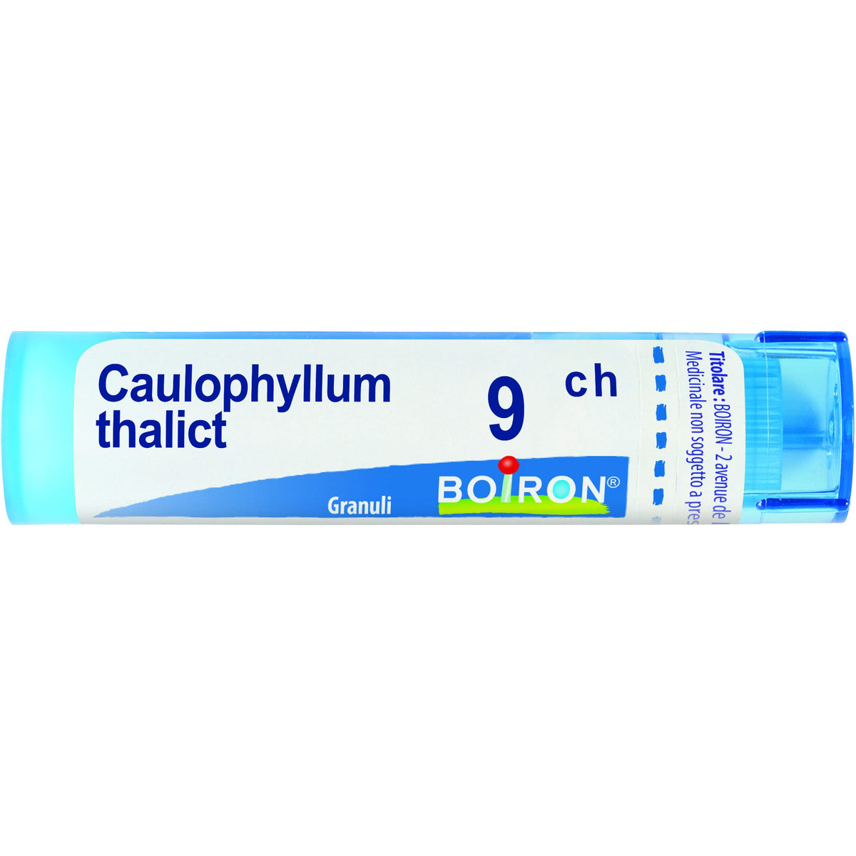 Caulophyllum boi 9ch 80gr 4g