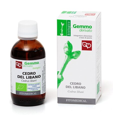 Cedro del libano macerato glicerinato bio 50 ml