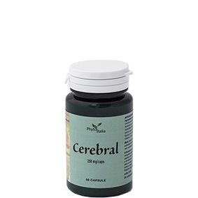 Cerebral ayurved 60 capsule