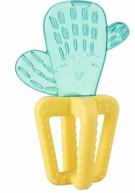 Ch massaggia fresh cactus 4m+