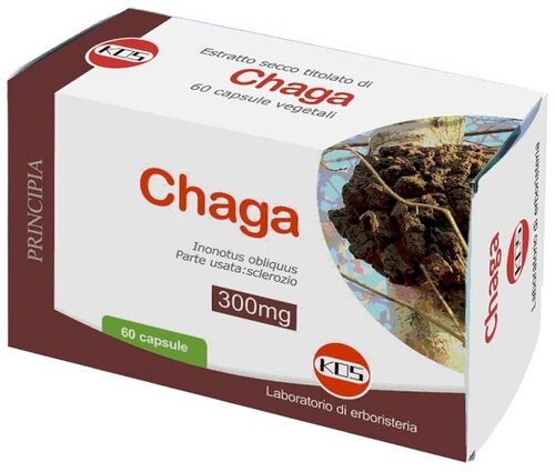 Chaga fungo estratto secco 60 capsule